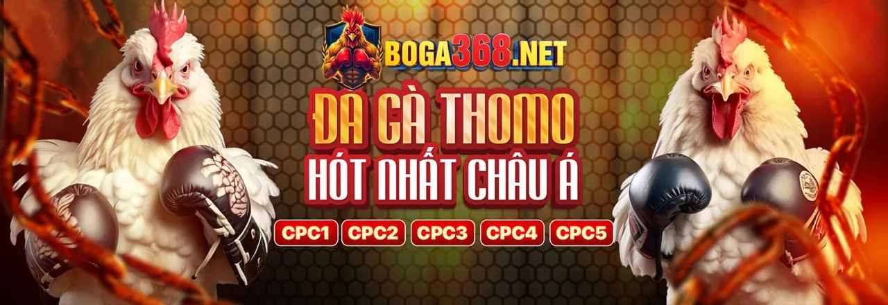 Đá Gà Trực Tuyến G6bet Casino